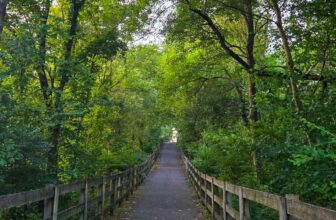 The Little Issues E-newsletter #479 – Life, ...