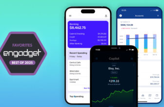 The most effective Mint alternate options