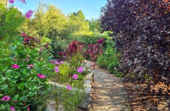 The Little Issues Publication #486 – Life, l...