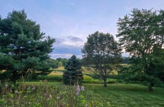 The Little Issues E-newsletter #485 – Life, ...