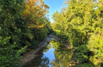 The Little Issues Publication #487 – Life, l...