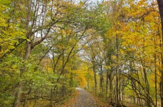 The Little Issues E-newsletter #492 – Life, ...