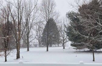 The Little Issues Publication #499 – Life, l...