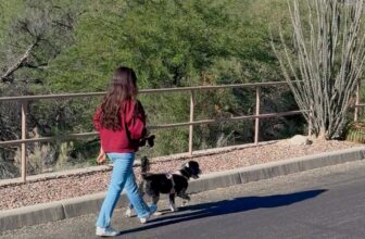 Low-Effort Wellness Habits That Truly Make a Disti...